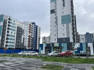 Современные жилые дома ЖК «5 Элемент» в микрорайоне Левенцовка с ярким семейным графити на фасаде.